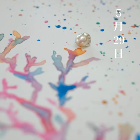 5月29日【365日金魚真珠】