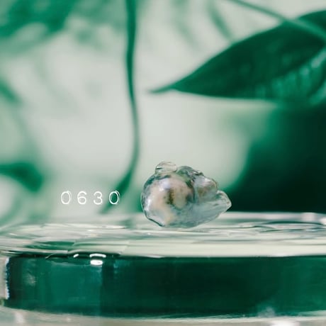 6月30日【365日金魚真珠】