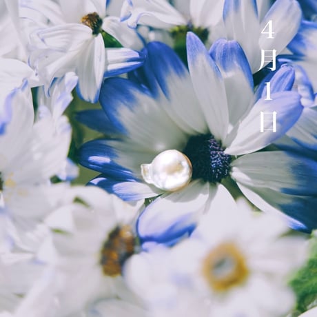 4月1日【365日金魚真珠】