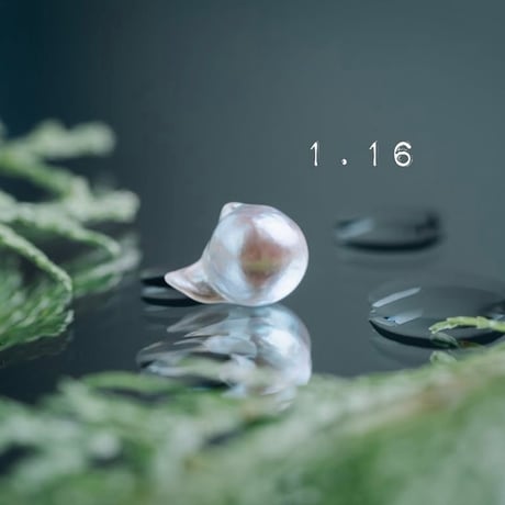1月16日【365日金魚真珠】