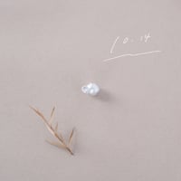 10月14日【365日金魚真珠】