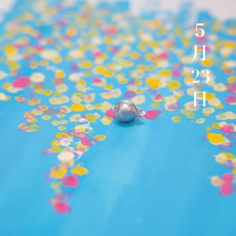5月23日【365日金魚真珠】