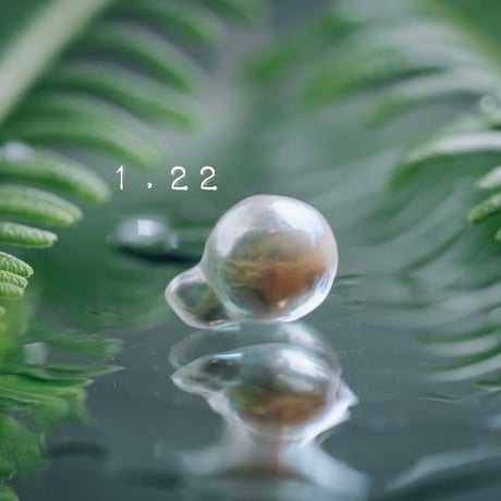 1月22日【365日金魚真珠】