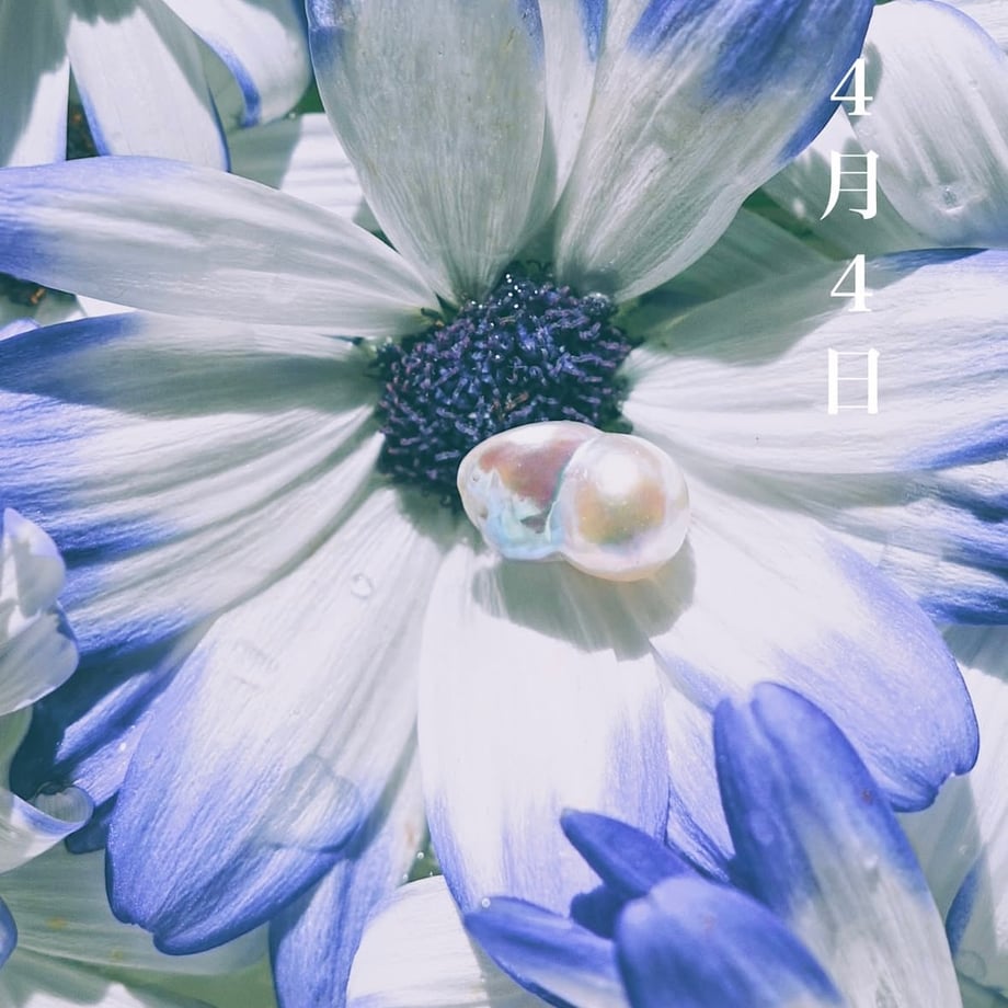 68513fb929196f1e641a3701