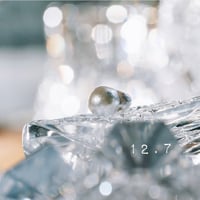 12月7日【365日金魚真珠】