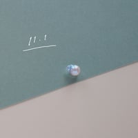 11月1日【365日金魚真珠】