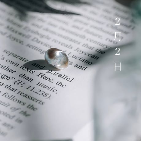 2月2日【365日金魚真珠】