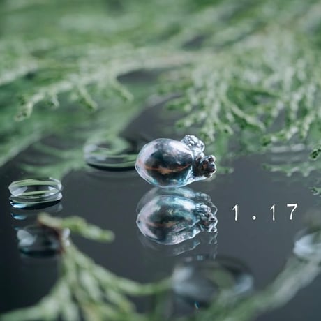1月17日【365日金魚真珠】