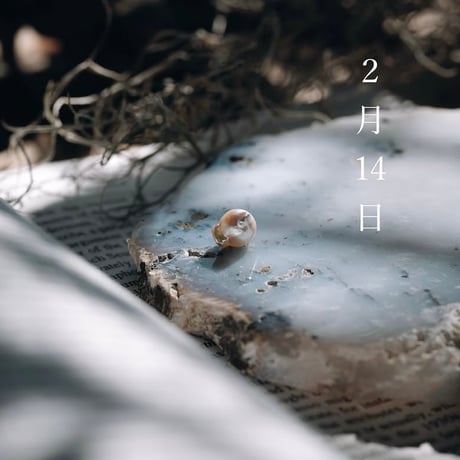 2月14日【365日金魚真珠】