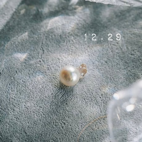 12月29日【365日金魚真珠】