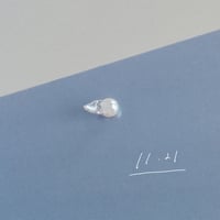 11月21日【365日金魚真珠】