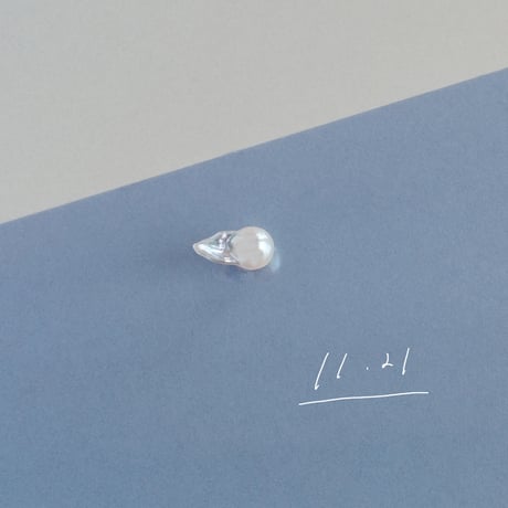 11月21日【365日金魚真珠】