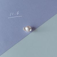 11月6日【365日金魚真珠】