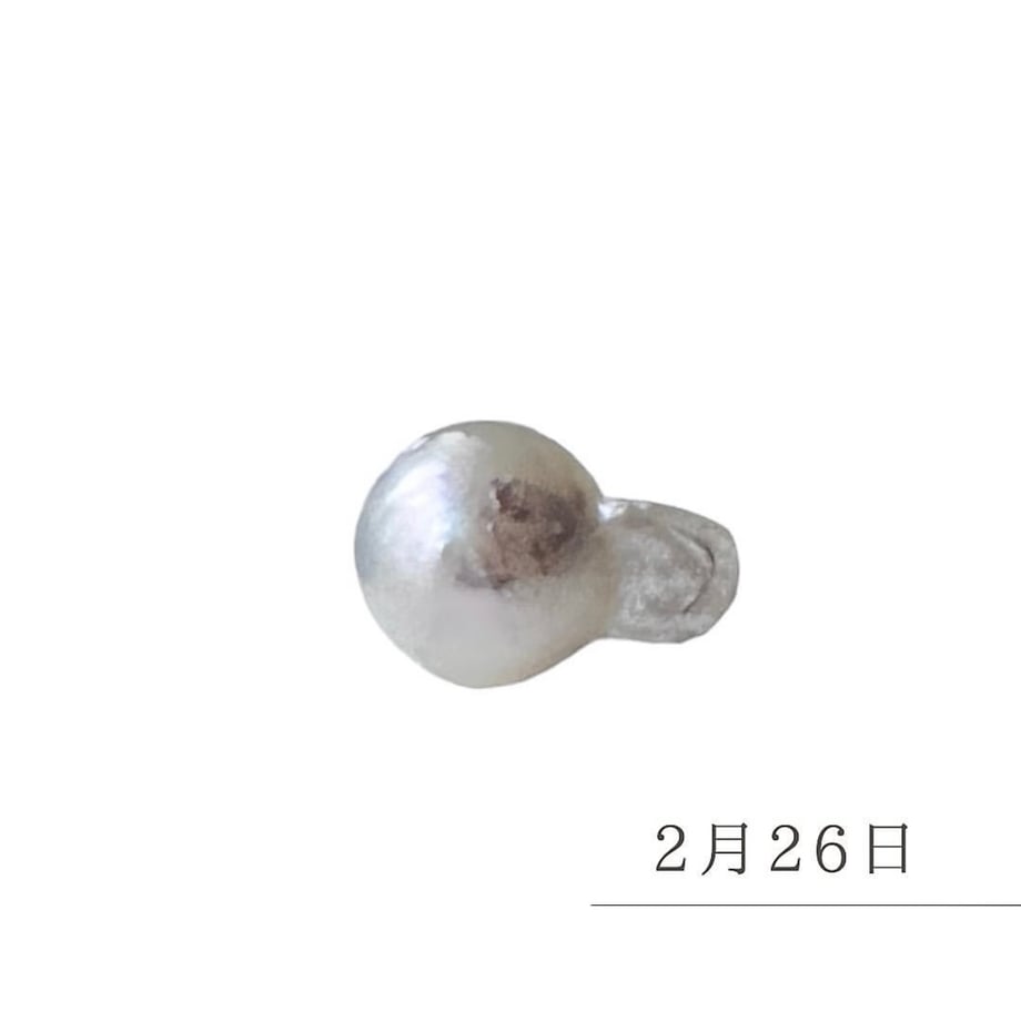 668f099e2ca89e11cb61ea35