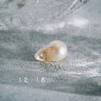 12月16日【365日金魚真珠】