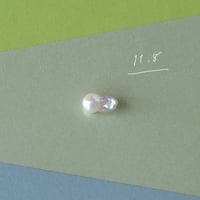 11月8日【365日金魚真珠】