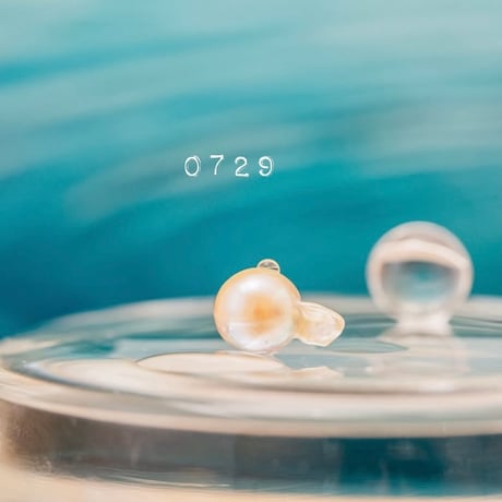 7月29日【365日金魚真珠】