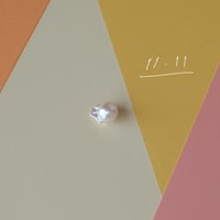 11月11日【365日金魚真珠】