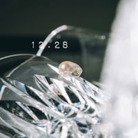 12月28日【365日金魚真珠】