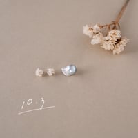 10月3日【365日金魚真珠】