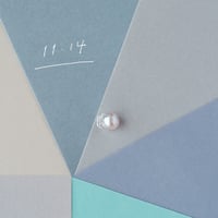 11月14日【365日金魚真珠】