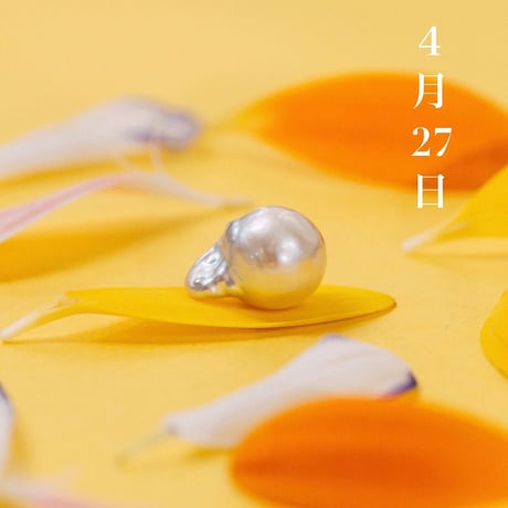 4月27日【365日金魚真珠】