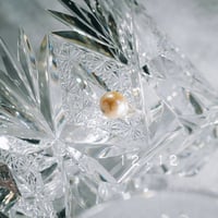 12月12日【365日金魚真珠】