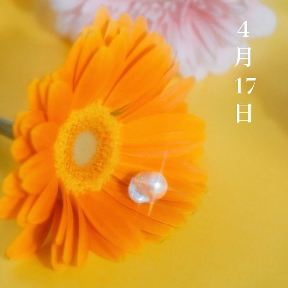 68513be75c2c072e45d3b100