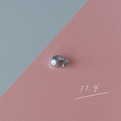 11月4日【365日金魚真珠】