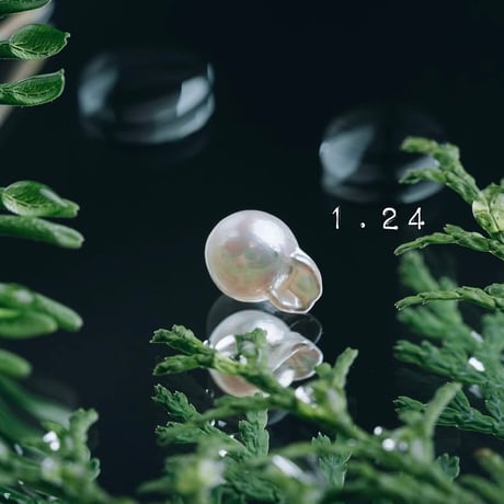 1月24日【365日金魚真珠】