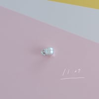 11月27日【365日金魚真珠】