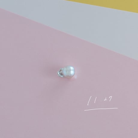 11月27日【365日金魚真珠】