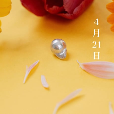4月21日【365日金魚真珠】