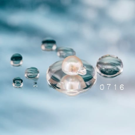 7月16日【365日金魚真珠】