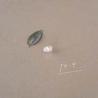 10月4日【365日金魚真珠】