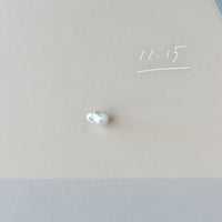 11月15日【365日金魚真珠】