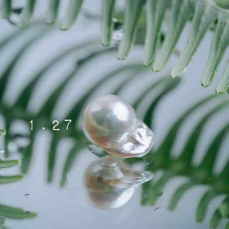 1月27日【365日金魚真珠】
