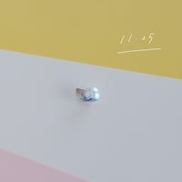 11月25日【365日金魚真珠】