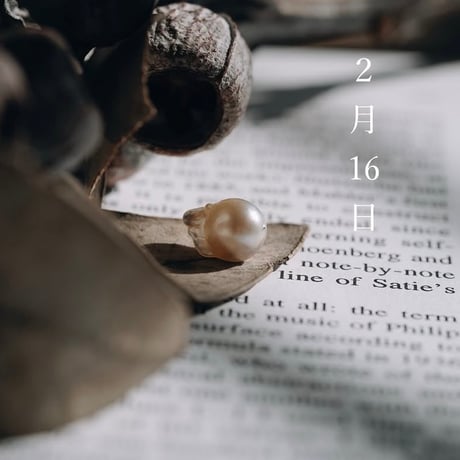 2月16日【365日金魚真珠】