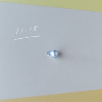 11月18日【365日金魚真珠】