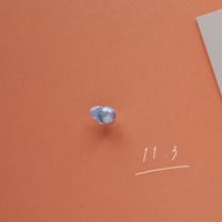 11月3日【365日金魚真珠】