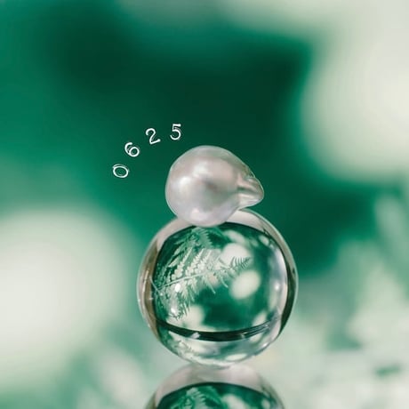 6月25日【365日金魚真珠】