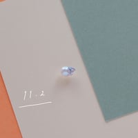 11月2日【365日金魚真珠】