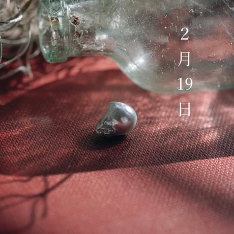 2月19日【365日金魚真珠】