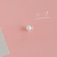11月19日【365日金魚真珠】