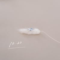 10月20日【365日金魚真珠】