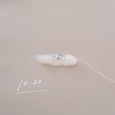 10月20日【365日金魚真珠】