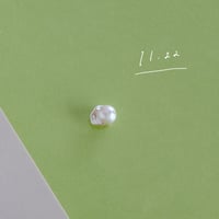 11月22日【365日金魚真珠】