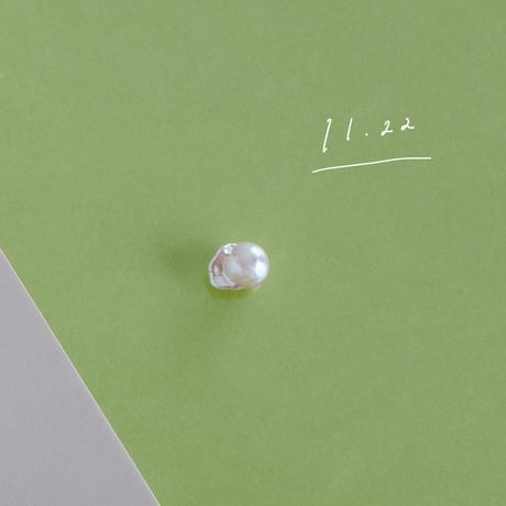 11月22日【365日金魚真珠】