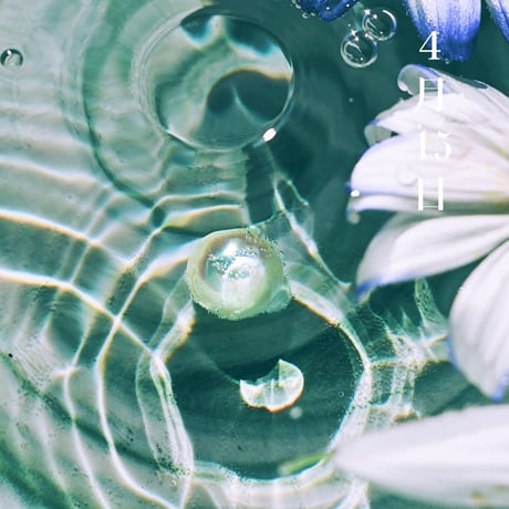 4月15日【365日金魚真珠】